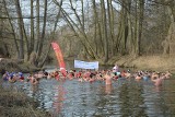 Aż 17 grup morsów z regionu witało wiosnę w Kamionie pod Skierniewicami