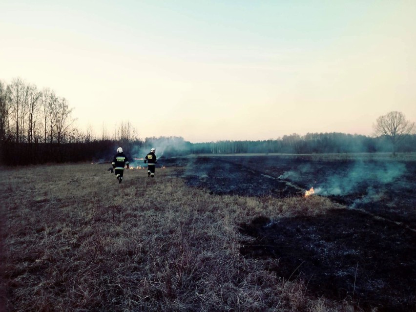 20 marca, od godz. 17.20 strażacy z OSP Turośń Kościelna...