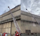 Pożar na terenie stoczni w Gdańsku. Na wyspie Ostrów spaliło się 200 m2 powierzchni dachu. Ewakuowano 600 pracowników 14.09.2022