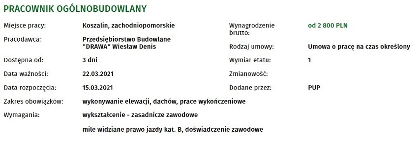 Nowe oferty pracy w Koszalinie