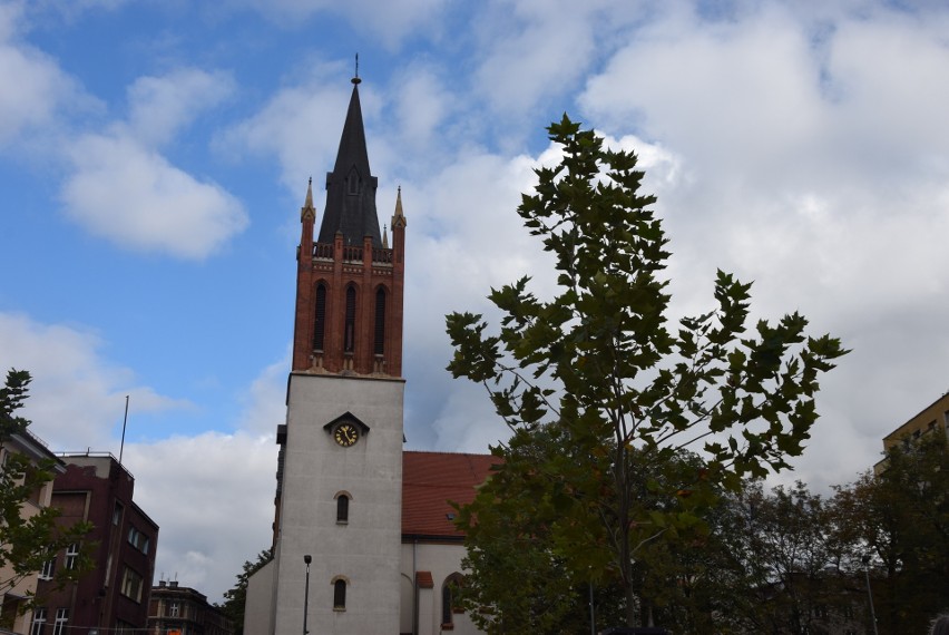 Posadzone w tym roku drzewa na bytomskim rynku podobają się mieszkańcom, ale okazało się, że są chore