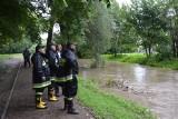 Proszowice. Podtopienia po nocnych opadach. Strażacy pompują wodę