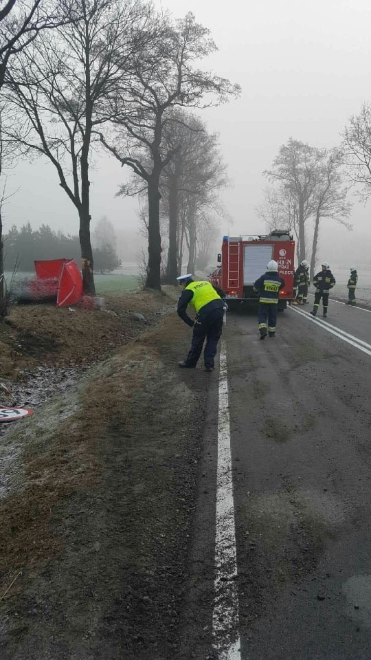 Rogienice Wielkie: Tragiczny wypadek na DK 63. Samochód osobowy uderzył w drzewo [ZDJĘCIA]