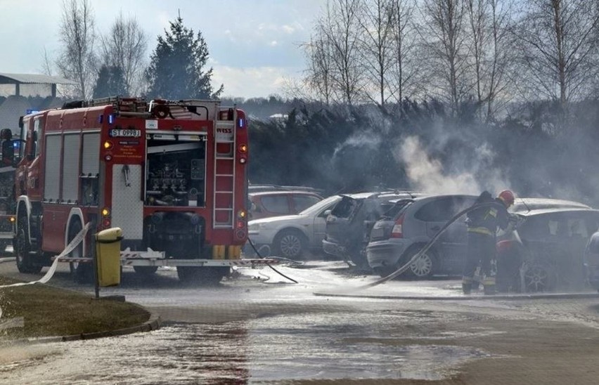 Prokuratura Rejonowa w Tychach prowadzi śledztwo w sprawie...