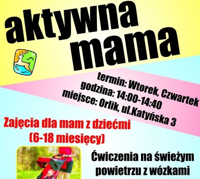 Głównym celem przedsięwzięcia jest umożliwienie kobietom powrotu do formy sprzed ciąży poprzez aktywne spędzanie czasu ze swoimi dziećmi.