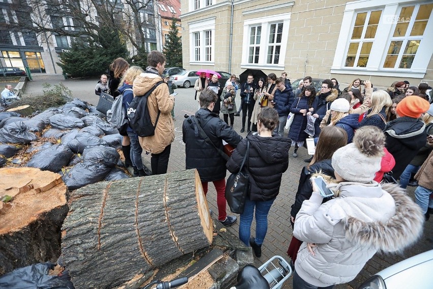 Młodzież LO9 pożegnała dziś dwie lipy, które rosły na terenie szkoły