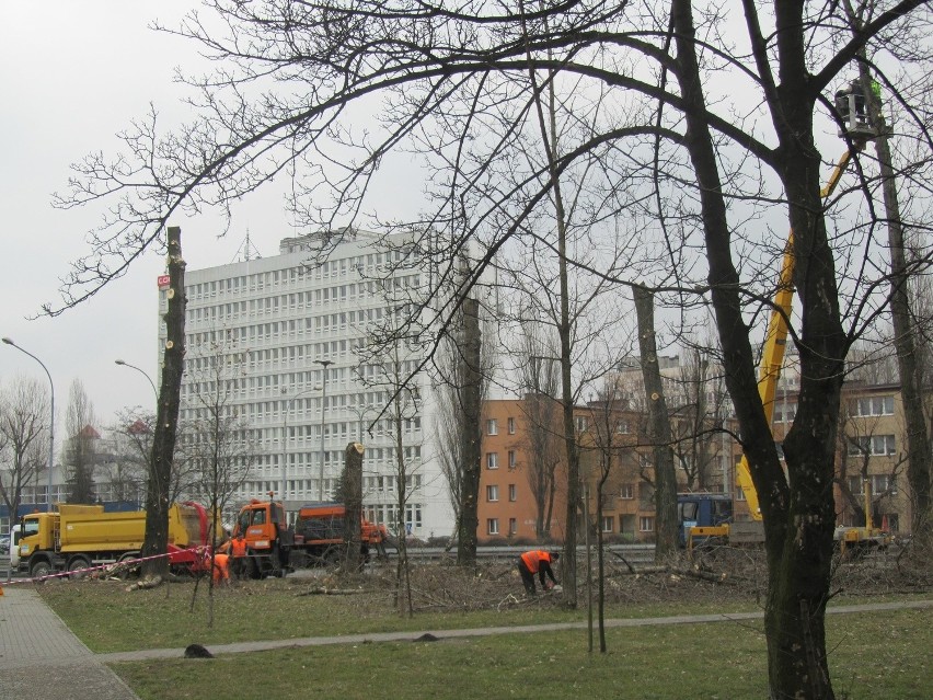 Wycinka drzew przy ulicy Mikołowskiej