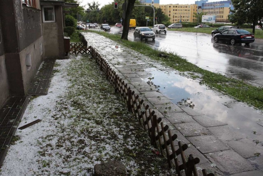 Grad pojawił się między innymi na osiedlu XV-Lecia w...