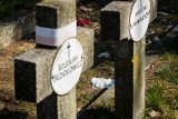 Cmentarz Bohaterów Bydgoszczy na Wzgórzu Wolności będzie remontowany jeszcze w tym roku