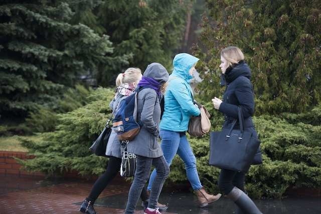 Okolice obiektów uniwersyteckich  na Bielanach pełne są zieleni, niedaleko stąd do terenów leśnych.  Czasami bywa to niebezpieczne 