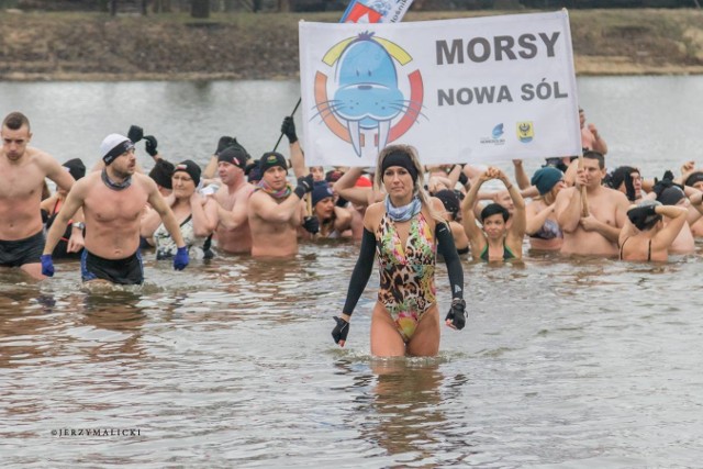 VI Zlot Morsów w Nowej Soli za nami. Z roku na rok cieszy się coraz większą popularnością. Kilka lat temu garstka osób, teraz ponad 170 miłośników lodowatych kąpieli wzięło udział w tym dość  ekstremalnym wydarzeniu. Dlaczego? Najczęściej pojawiająca się odpowiedź: dla zdrowia  i dobrej zabawy.  Do Nowej Soli przyjechały morsy m.in. z Kożuchowa, Sławy, Zielonej Góry, Świebodzina. Wszyscy uśmiechnięci, swoją pozytywną energią zarażali tych, którzy postanowili w ciepłych kurtach przyglądać się szalonej kąpieli. Nad bezpieczeństwem, jak co roku, czuwali strażacy i WOPR. Jak było? Zobaczcie zdjęcia, które wykonał fotograf Jerzy Malicki! A jeśli zastanawiacie się nad rozpoczęciem swojej przygody z morsowanie, nowosolskie morsy zapraszają! W każdą środę i niedzielę. Zobacz więcej zdjęć na stronie: nowasol.naszemiasto.pl