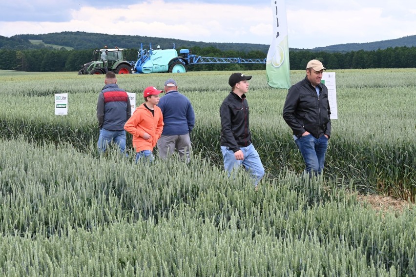 Niemal 300 rolników na Dniach Pola w Jałowęsach koło Opatowa. Sprawdzali efekty doświadczalnych upraw pszenicy i rzepaku  