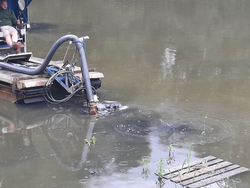 Rewitalizacja Park Róż kosztuje 6 mln zł. Odmulanie stawu...