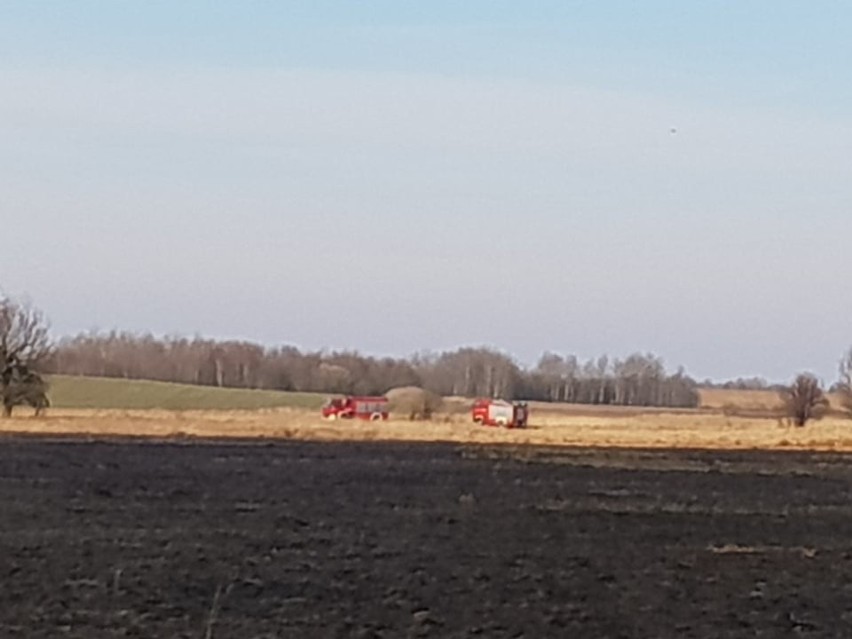 Płonie 13 hektarów nieużytków na przedłużeniu ulicy...