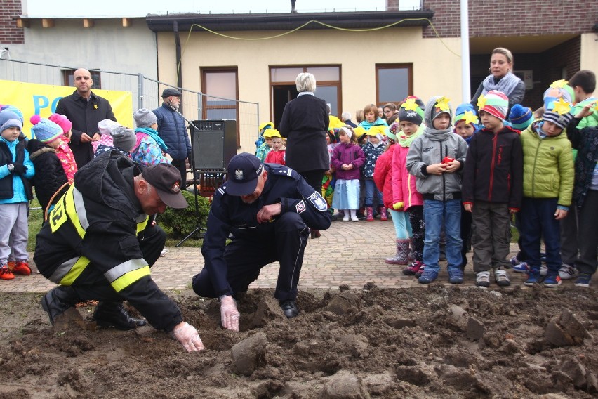 W Żorach zasadzili prawie 1000 żonkili, tworząc "Pole Nadziei" przy hospicjum