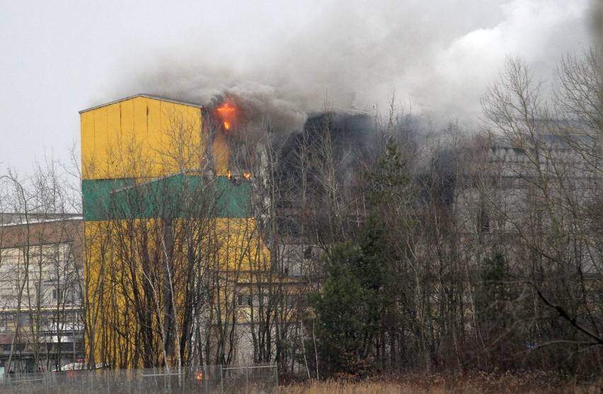 Pożar hali na terenie Zakładów Chemicznych Siarkopol w Tarnobrzegu