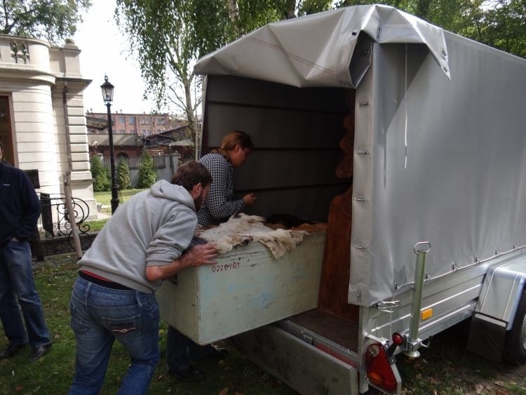 Największym z przywiezionych eksponatów jest olbrzymie,...