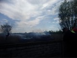 Kraków. Pożar łąk w Nowej Hucie. Trzeba było ewakuować gości z pobliskiego hotelu [ZDJĘCIA]