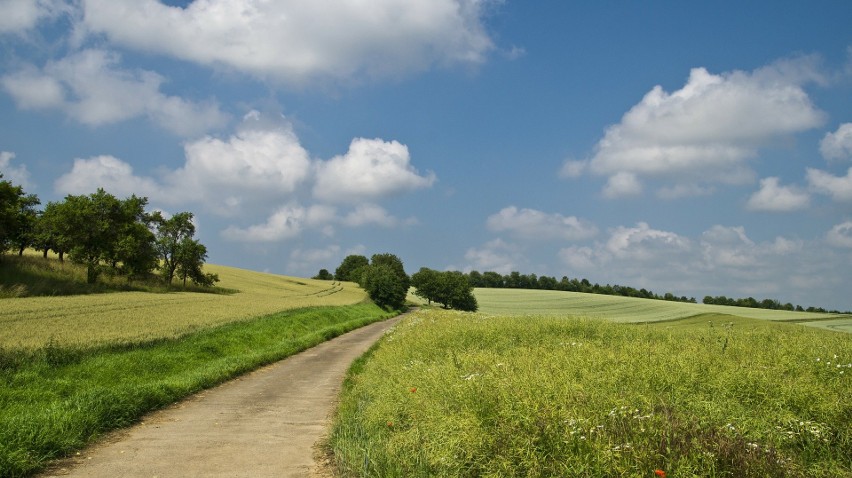 Na pogodowych mapach nie widać tropikalnych upałów, choć do...