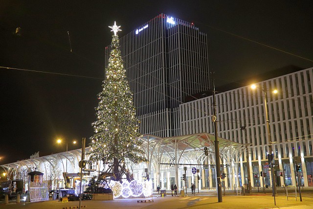 1 grudnia na Piotrkowskiej rozbłyśnie świąteczna iluminacja wraz z miejską choinka pod pomnikiem jednorożca. Montaż miejskiej choinki trwał przez cały weekend. W przyszłym tygodniu na miejskim deptaku zapanuje świąteczna atmosfera.