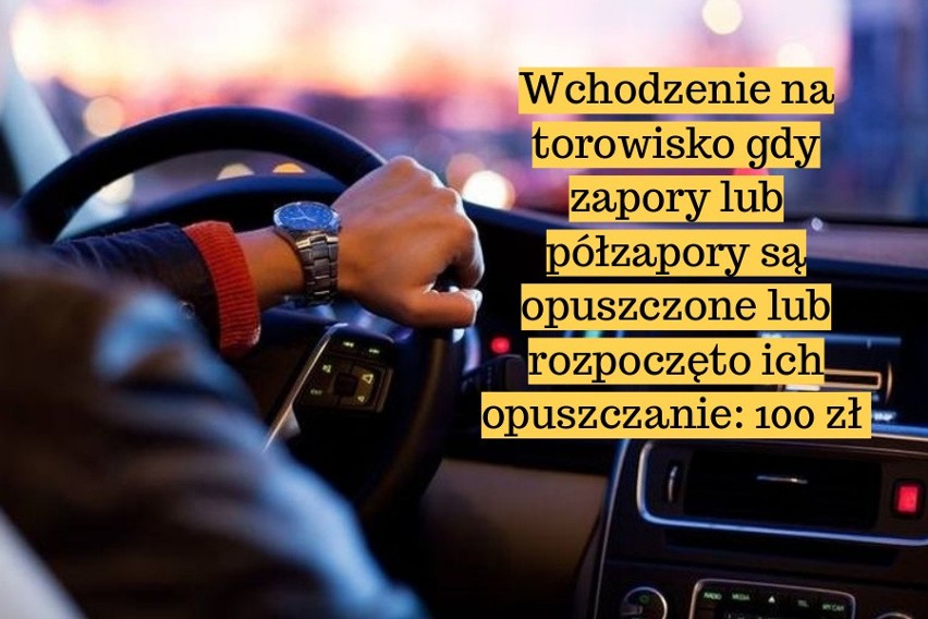 Taryfikator Mandatów 2018. Tyle musisz zapłacić za te przewinienia!