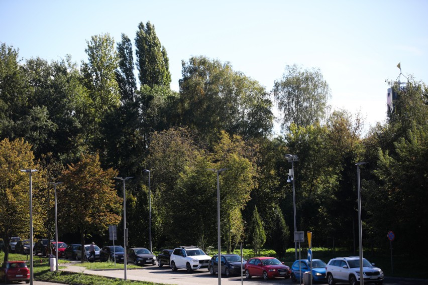 Kraków. Gigantyczna kolejka samochodowa przed Tauron Areną do testów na koronawirusa [ZDJĘCIA]