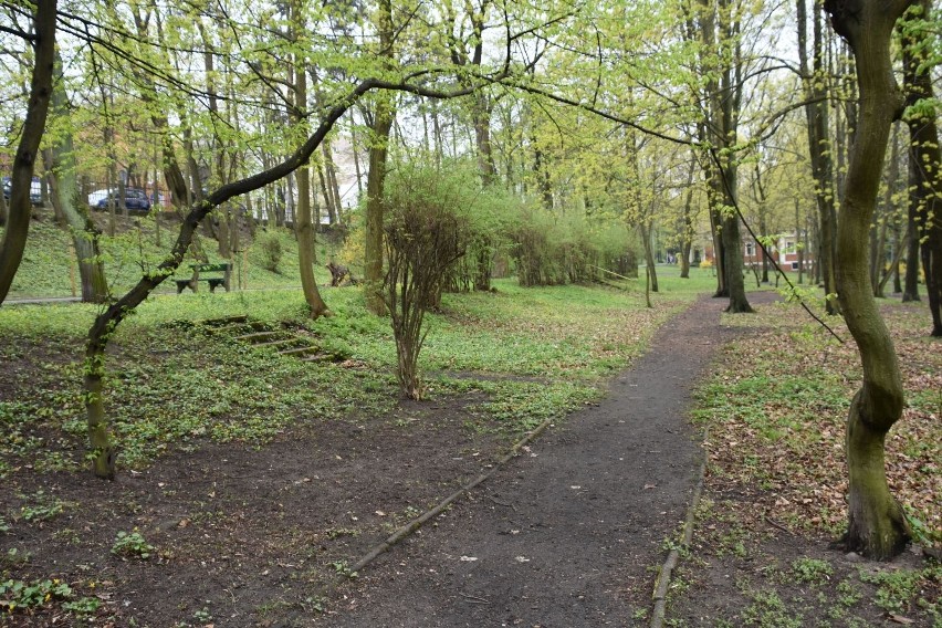 Park Tysiąclecia w Zielonej Górze. Zobacz, jak wygląda teraz...