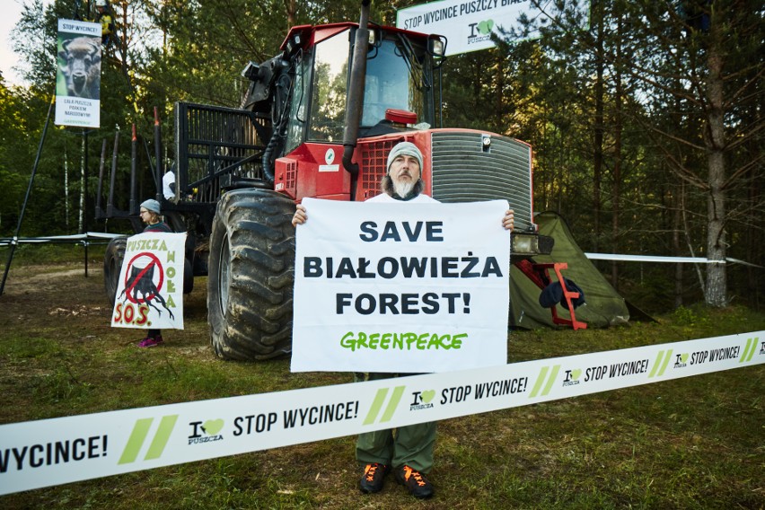 Blokada wycinki drzew w Puszczy Białowieskiej