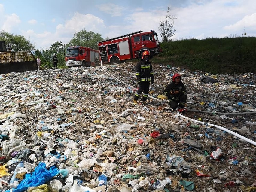 Stary Sącz. Pożar na wysypisku śmieci. W akcji brali udział strażacy i druhowie OSP [ZDJĘCIA]