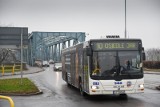 Jakiej linii autobusowej brakuje w mieście? Zapytaliśmy internautów