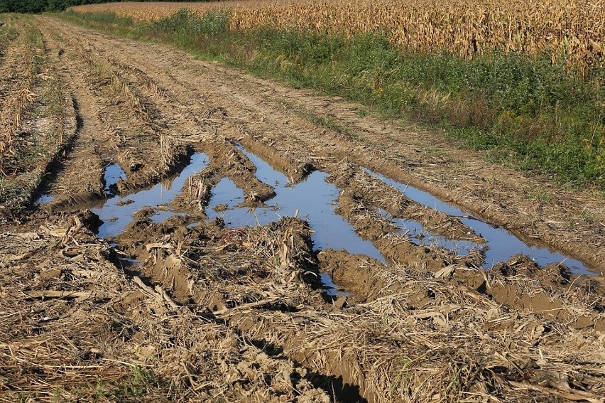 Obowiązkiem jest przechowywanie nawozów naturalnych płynnych...