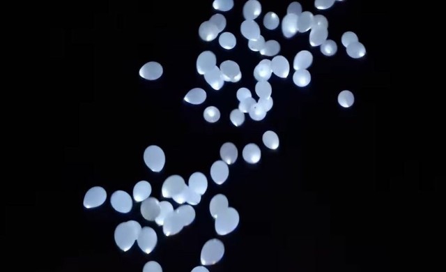 Światełko do nieba w Stopnicy na 32. finał WOŚP - w górę poszybowało kilkadziesiąt balonów.