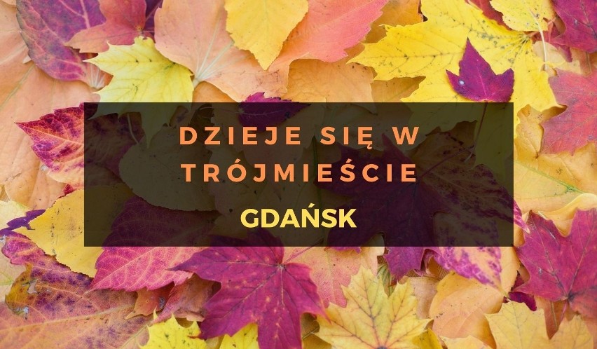 Po raz szesnasty w Gdańsku odbywa się festiwal pianistyczny....
