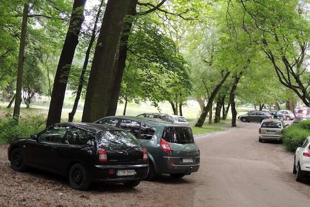 W parku na Bydgoskiem są miejsca, gdzie auta mogą legalnie wjeżdżać, m.in. podczas różnego rodzaju imprez