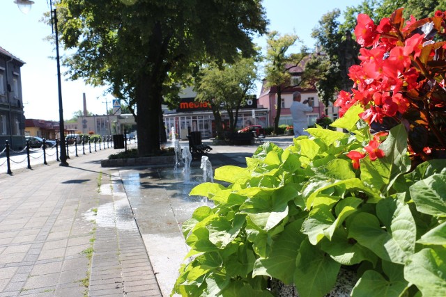 - Cudownie, nie ma jak to moje miasto Nowa Sol kochana - komentuje zdjęcia, które wykonali pracownicy urzędu miejskiego pani Aleksandra. A pani Beata zwróciła uwagę, dzięki komu rośliny tak dobrze wyglądają: -  Gratulacje i poszanowanie dla pracy zwykłych ludzi którzy na co dzień dbają o nasze miasto, aby tak wyglądało. Szkoda tylko, że nie brakuje wandali, którzy starają się, aby niszczyć prace tych osób.- Dziękujemy wszystkim którzy się opiekują naszymi pięknymi roślinkami - napisała pani Agnieszka.W Nowej Soli przyrodę można też podziwiać w Muzeum Miejskim w pawilonie przyrodniczym. Muzeum informuje, że zbiory działu liczą 1360 pozycji inwentarzowych, a zaczątkiem kolekcji były eksponaty zachowane z przedwojennego Heimatmuseum, które miały charakter osobliwości przyrodniczych. Z okresu tego pochodzą m.in. poroża egzotycznych zwierząt, kolekcja egzotycznych motyli, krąg wieloryba, strusie jaja i inne ciekawostki.WIDEO: Nowa Sól. Korowód Solan