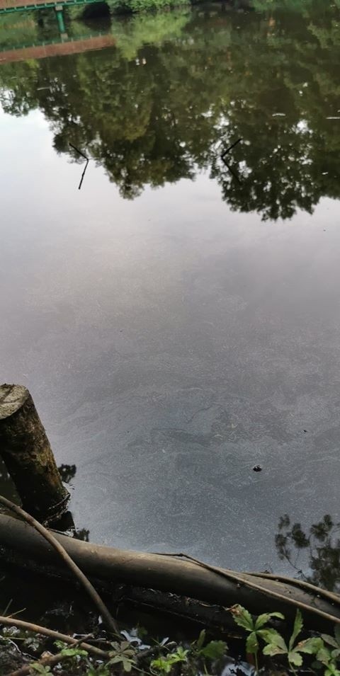 Tylko w przeciągu ostatniego miesiąca pracownicy...