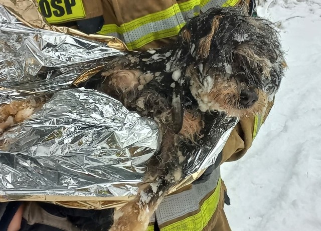Pod psem załamał się lód na zbiorniku w Czarnej, z pomocą pospieszyli strażacy.