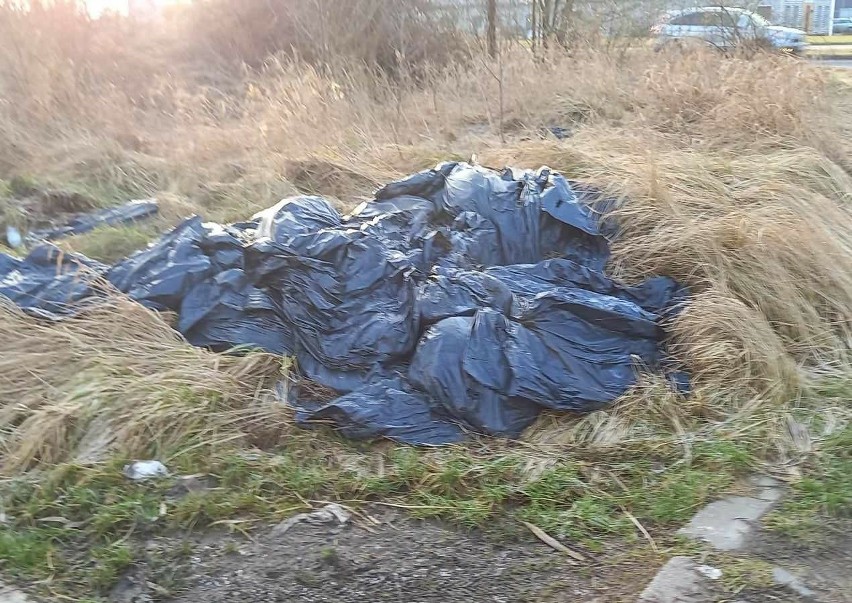 Śmieci w Koszalinie. Składowisko opon do uprzątnięcia [ZDJĘCIA]