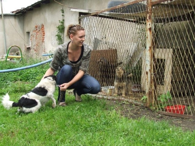 Paulina Stachewicz obowiązki w Urzędzie Stanu Cywilnego łączy z opieką nad porzuconymi psami