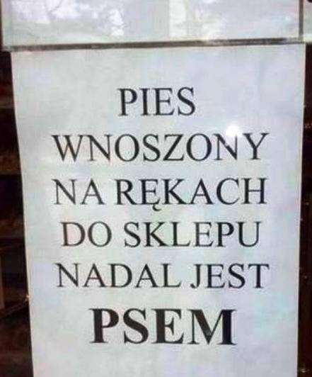 Bareizmy wiecznie żywe