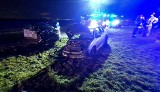 Czołowe zderzenie dwóch aut pod Wrocławiem. Dwie osoby ranne [ZDJĘCIA]