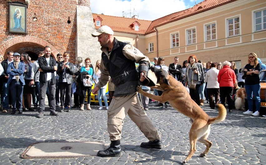 Uczestnicy akcji mogli też zobaczyć pokaz tresury...