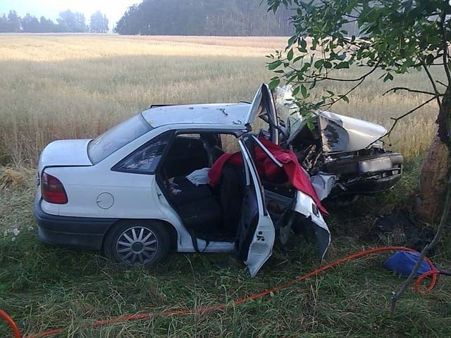 Nie żyje kibic Wisły Kraków, trzej są poważnie ranni. Jechali na mecz do Litwy, uderzyli w drzewo pod Ostrowią Mazowiecką (zdjęcia)