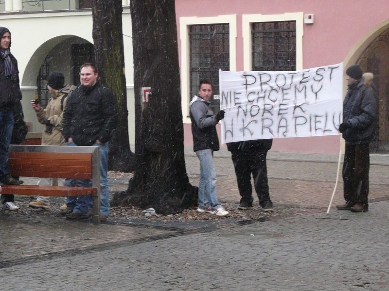 Protest w Stargardzie przeciwko fermie norek