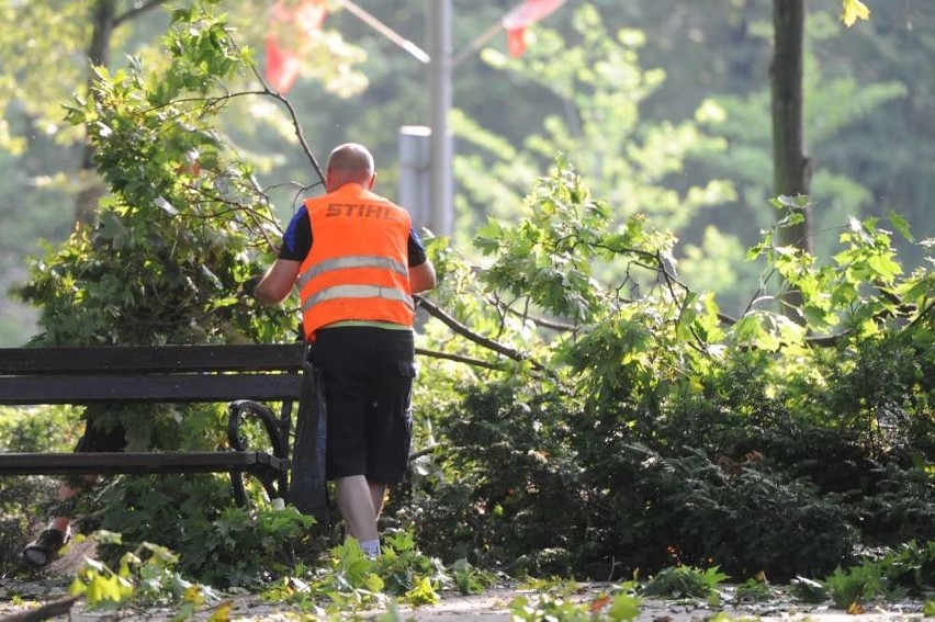 Wielkopolska liczy straty po nawałnicy