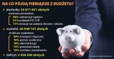 Prześwietlamy budżet powiatu grudziądzkiego: będzie kontynuacja