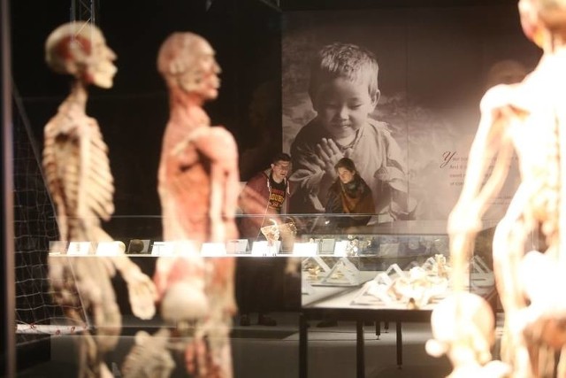 Objazdowa wystawa ludzkich ciał BODY WORLDS - VITAL autorstwa dr. Gunthera von Hagensa w Katowicach