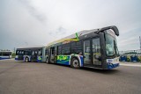 Kraków zyska 20 elektrobusów, a koleje małopolskie kupują 12 autobusów