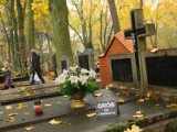 Dwa tysiące grobów do likwidacji na słupskim starym cmentarzu 