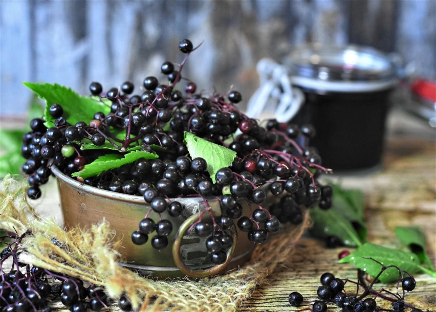 ► Sok z owoców czarnego bzu ma działanie przeciwcukrzycowe...